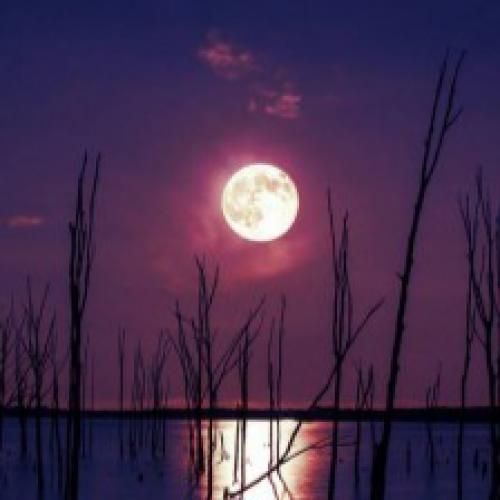  ای کاش همه چی مثل قدیما بود ای کاش